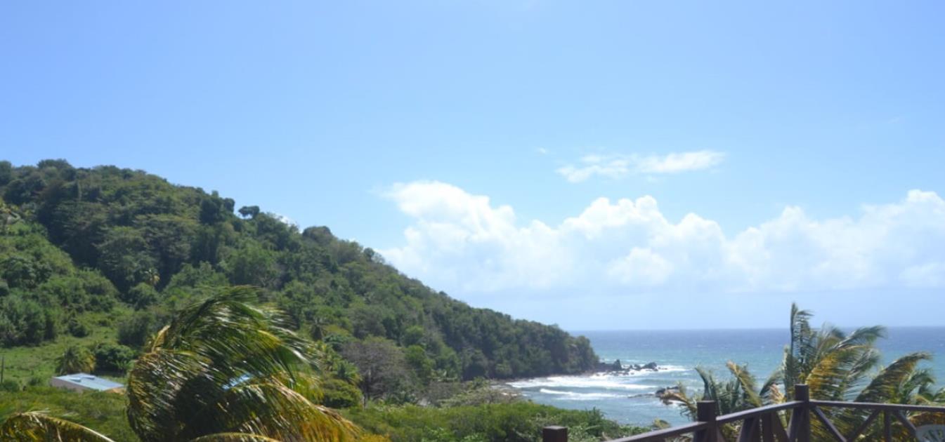 vacation-rentals/st-vincent-and-the-grenadines/st-vincent/brighton/artist-ocean-reflection-villa-and-garden-studio