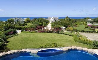 Bananaquit Sugar Hill Resort