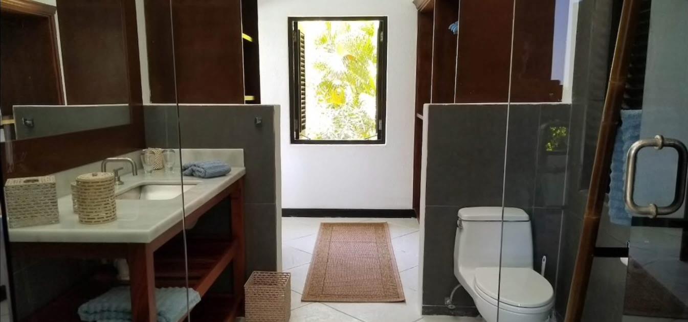 vacation-rentals/st-vincent-and-the-grenadines/bequia/spring/aquarius-villa