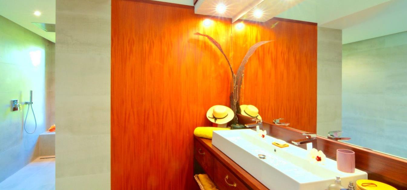 vacation-rentals/st-vincent-and-the-grenadines/bequia/ocar/destiny