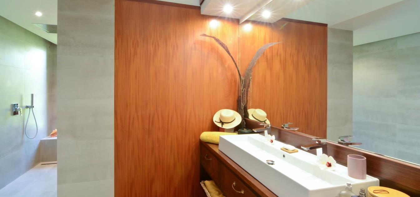vacation-rentals/st-vincent-and-the-grenadines/bequia/ocar/destiny