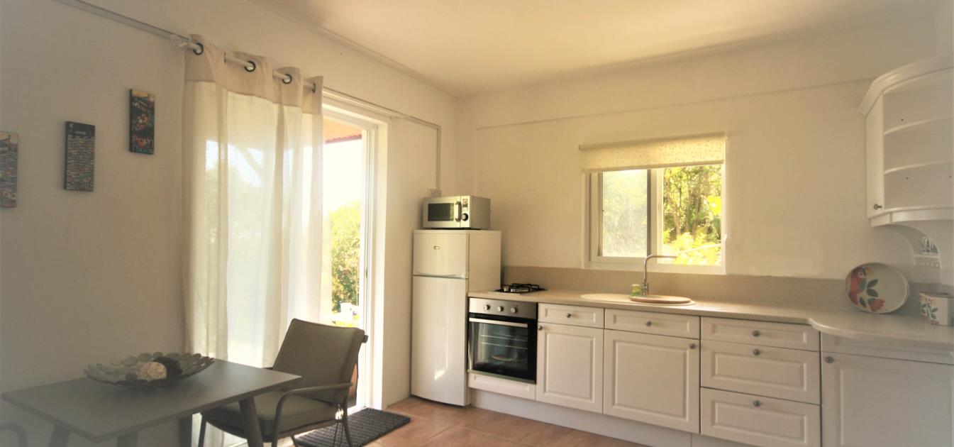 vacation-rentals/st-vincent-and-the-grenadines/bequia/spring/serenity-studio