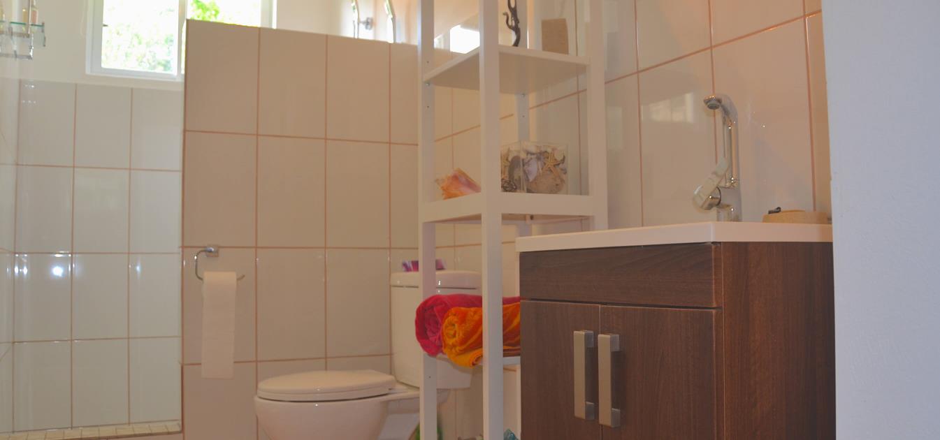 vacation-rentals/st-vincent-and-the-grenadines/bequia/spring/serenity-studio