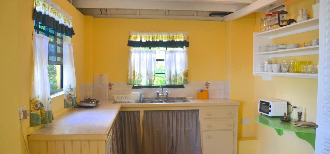 vacation-rentals/st-vincent-and-the-grenadines/bequia/belmont/lou's-apartment