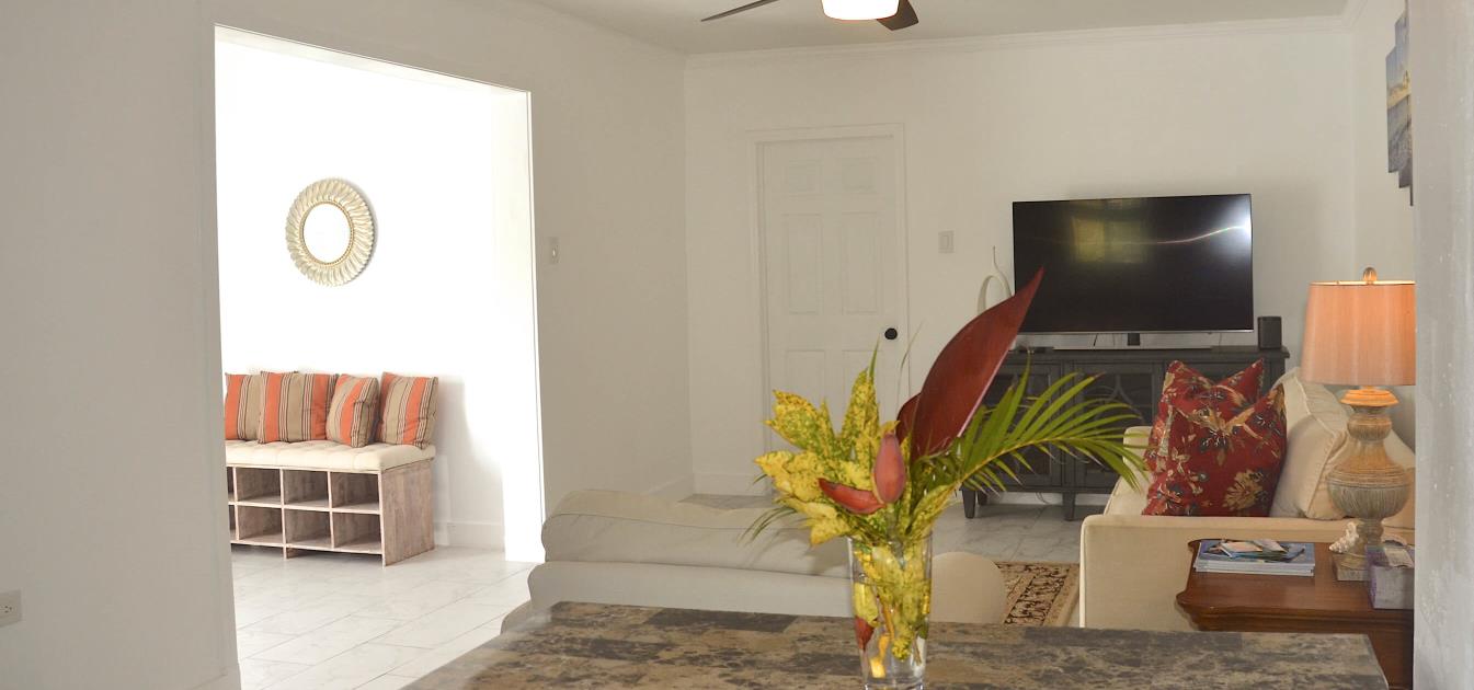 vacation-rentals/st-vincent-and-the-grenadines/bequia/hope-bay/hope-view-apartment