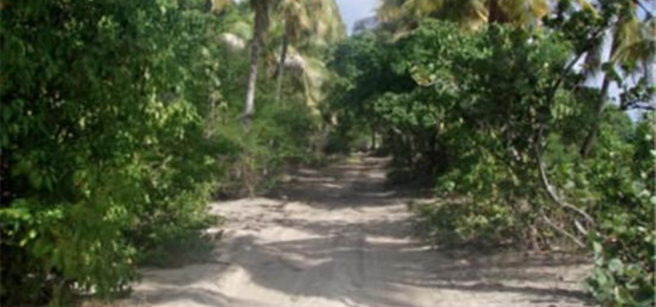Coastal Ridgetop land 1 Acre