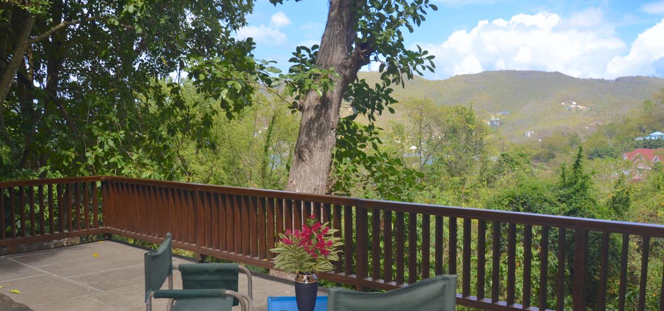 vacation-rentals/st-vincent-and-the-grenadines/bequia/belmont/elens-tree-house-long-term-rental-