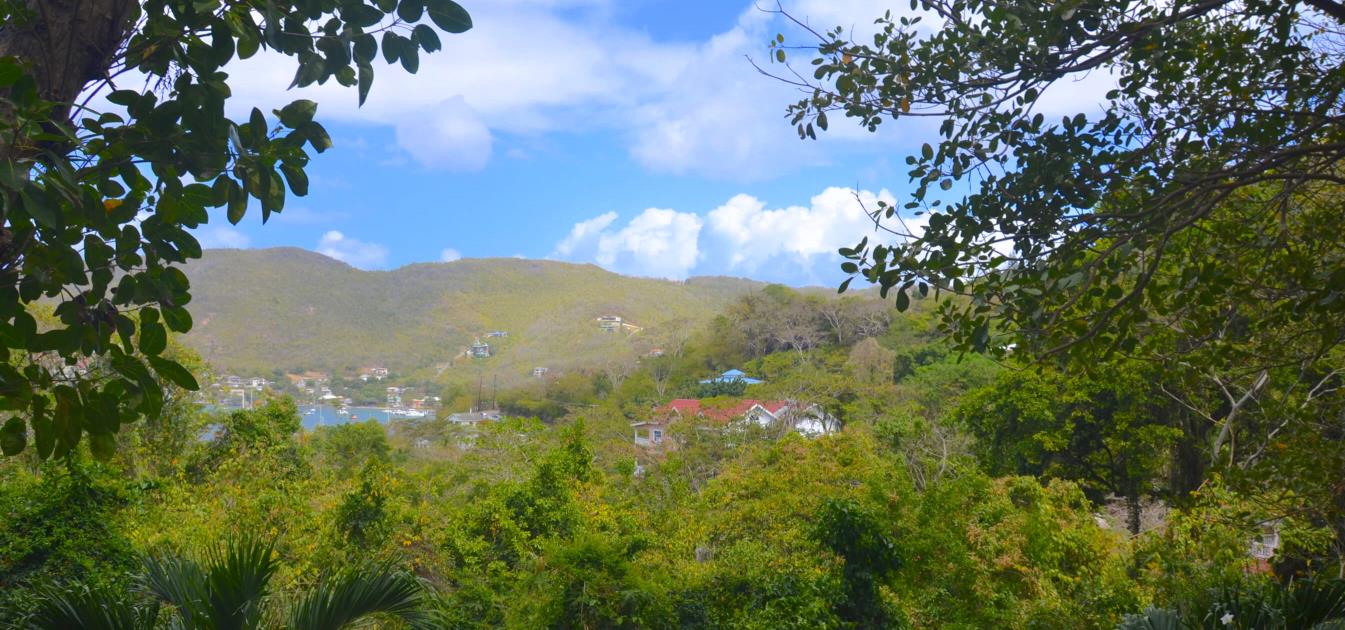 vacation-rentals/st-vincent-and-the-grenadines/bequia/belmont/elens-tree-house-long-term-rental-