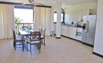 Brownes Condo 3D