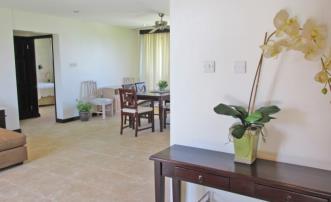 Brownes Condo 3D
