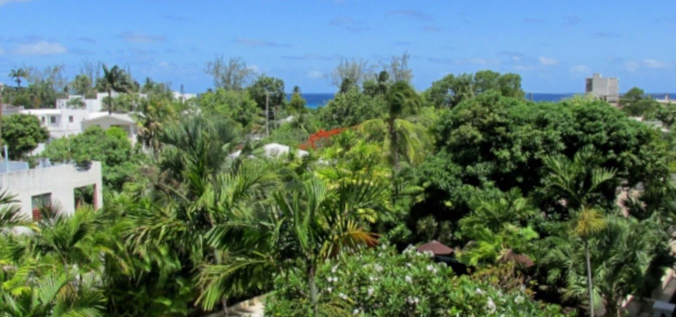 vacation-rentals/barbados/barbados/hastings/brownes-condo-3d
