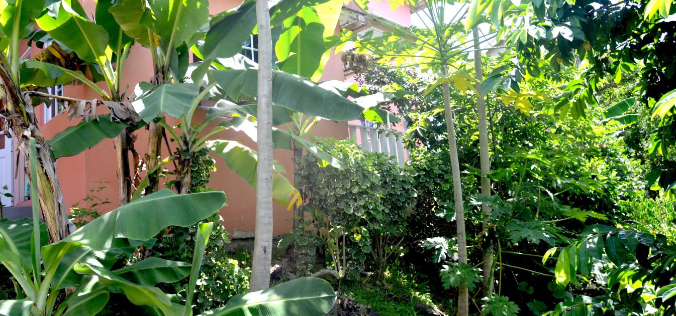 vacation-rentals/st-vincent-and-the-grenadines/bequia/friendship-bay/peaches-apartment