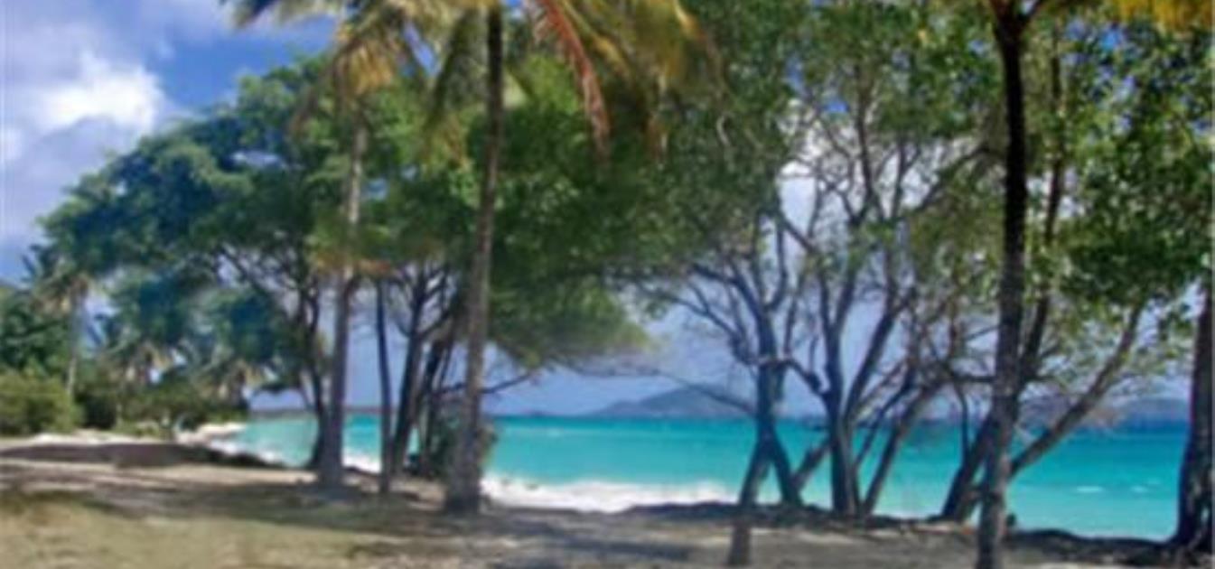 Baie de Sucre Hillside Land 1/2 Acre