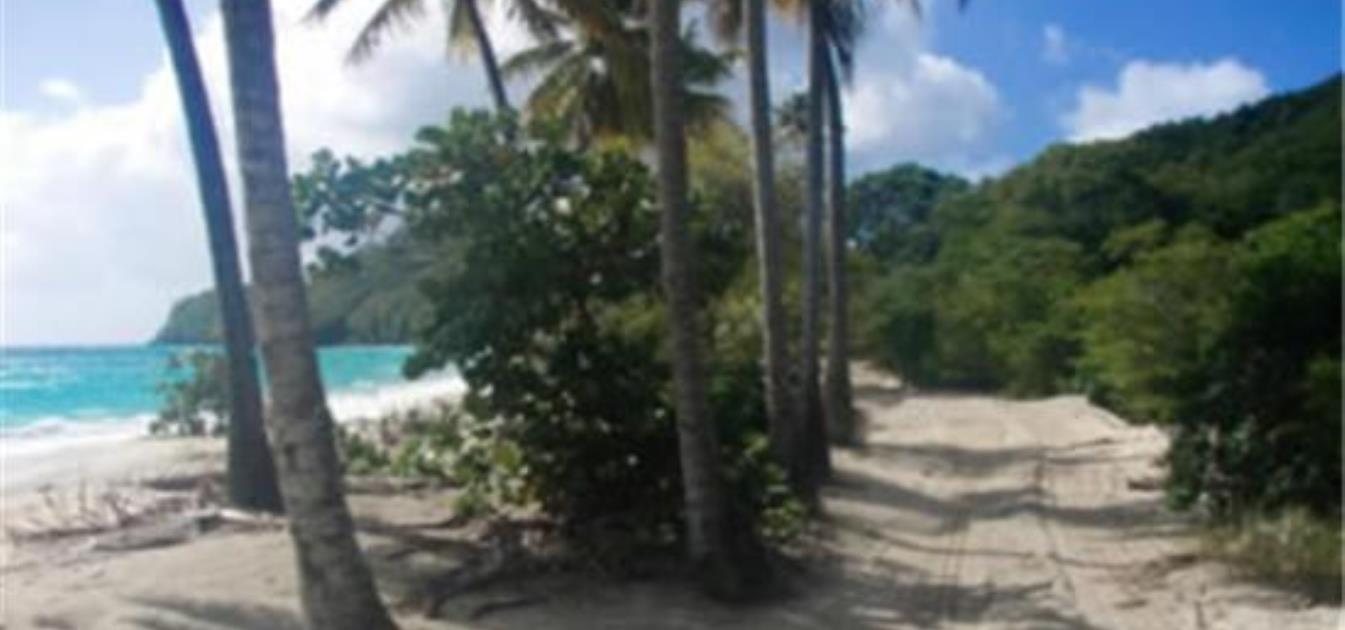 Baie de Sucre Hillside Land 1/2 Acre