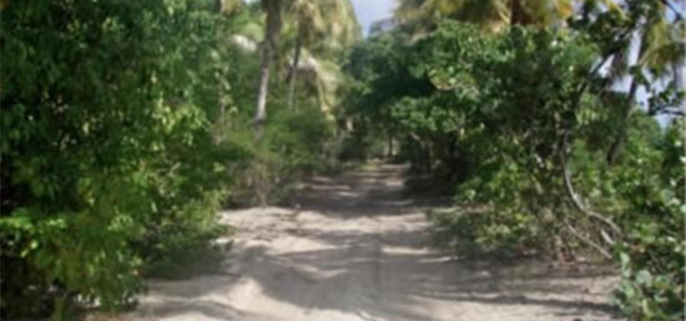 Baie de Sucre Hillside Land 1/2 Acre