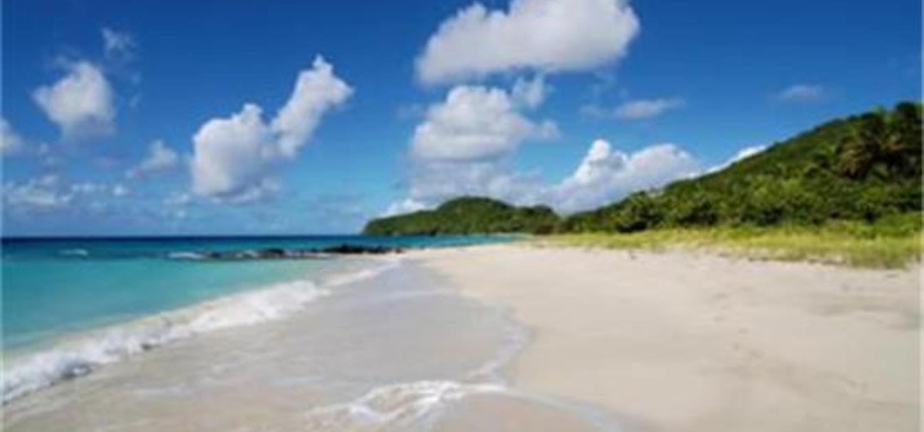 Baie de Sucre Hillside Land 1/2 Acre