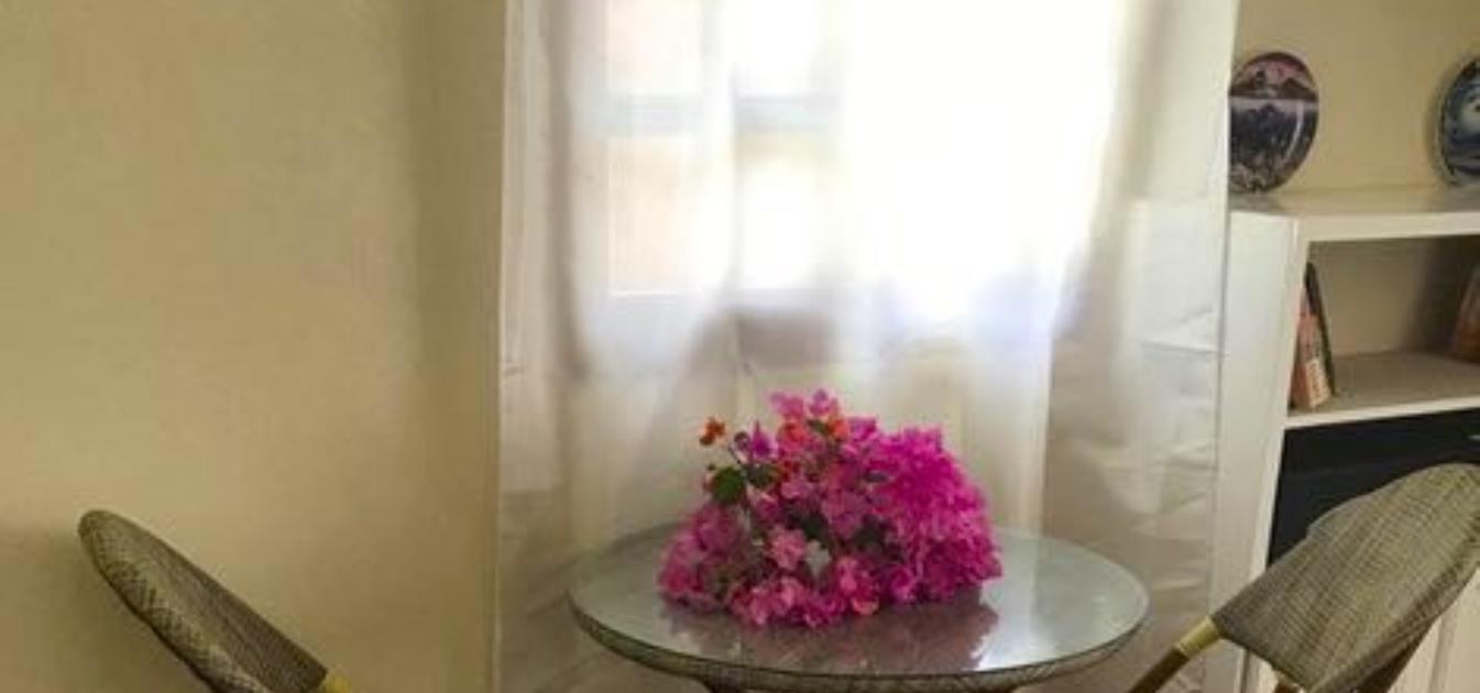 vacation-rentals/st-vincent-and-the-grenadines/bequia/lower-bay/keegan's-apartment-seabreeze