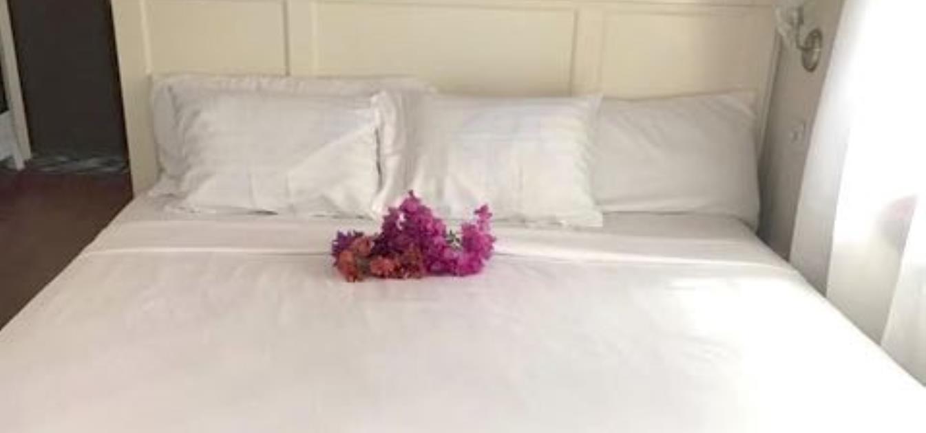 vacation-rentals/st-vincent-and-the-grenadines/bequia/lower-bay/keegan's-apartment-seabreeze