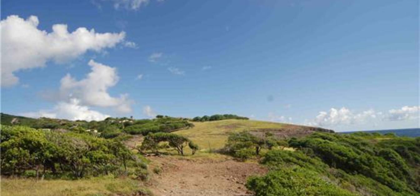 St Hilaire Point 55 Acres