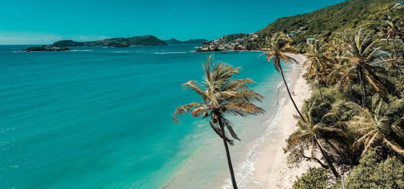 vacation-rentals/st-vincent-and-the-grenadines/bequia/friendship-bay/bequia-beach-hotel-palm-villa