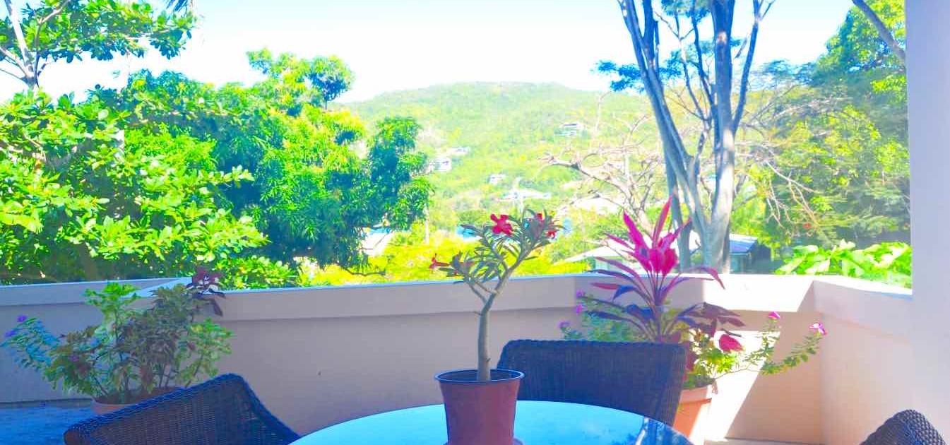 vacation-rentals/st-vincent-and-the-grenadines/bequia/belmont/hibiscus-studio