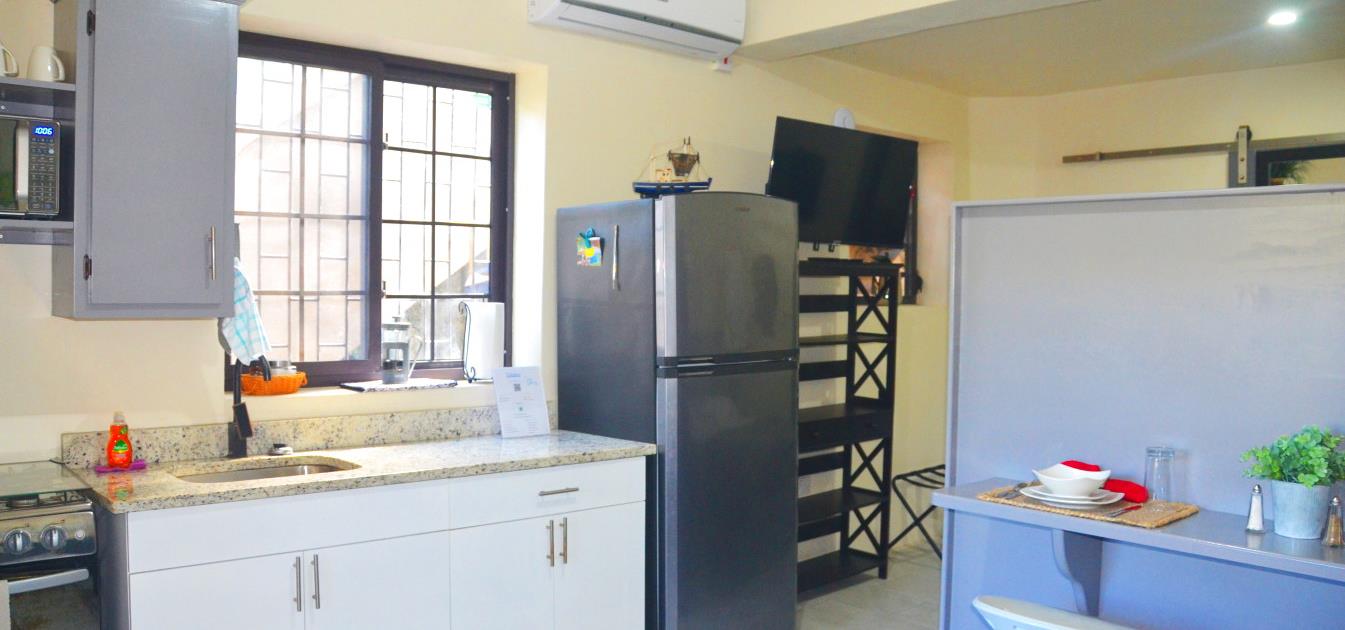 vacation-rentals/st-vincent-and-the-grenadines/bequia/belmont/hibiscus-studio