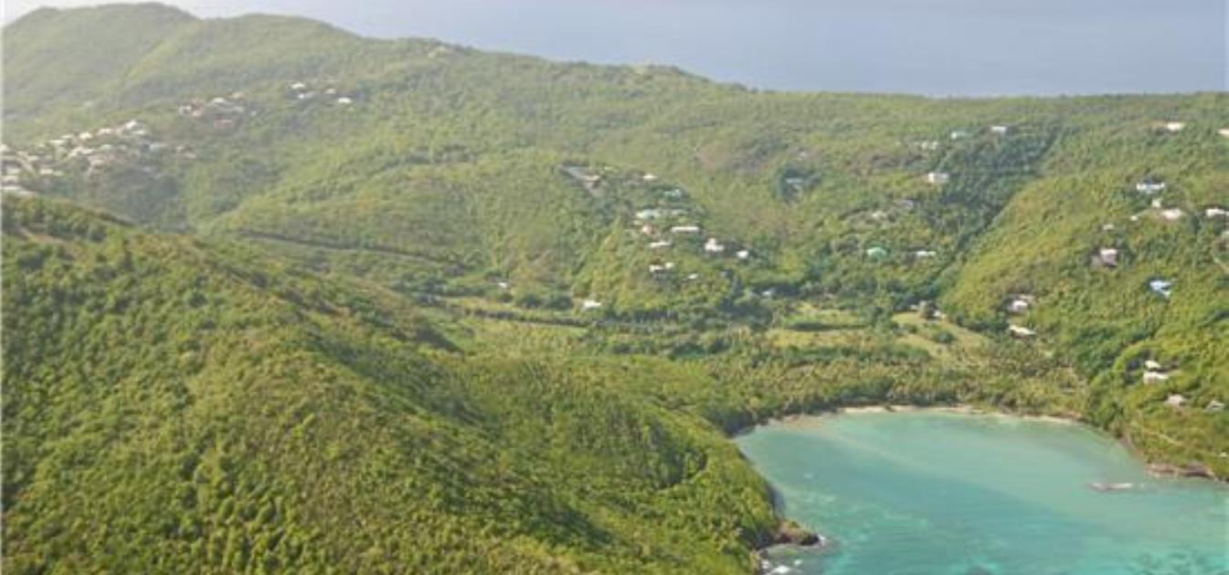 Spring Estate Lot 39