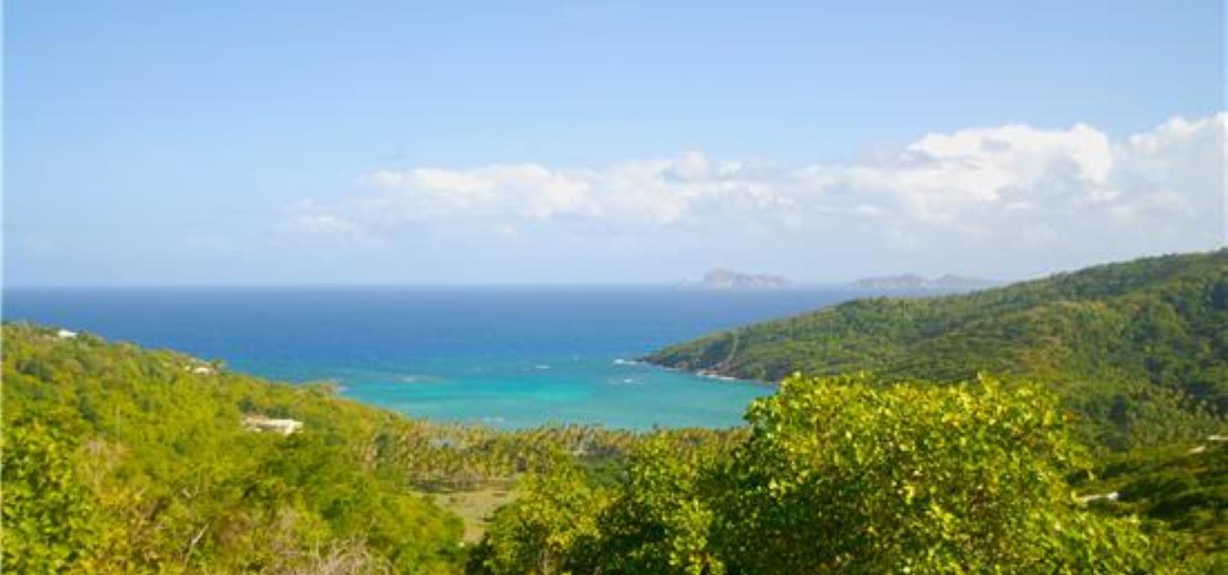 Spring Estate Lot 39