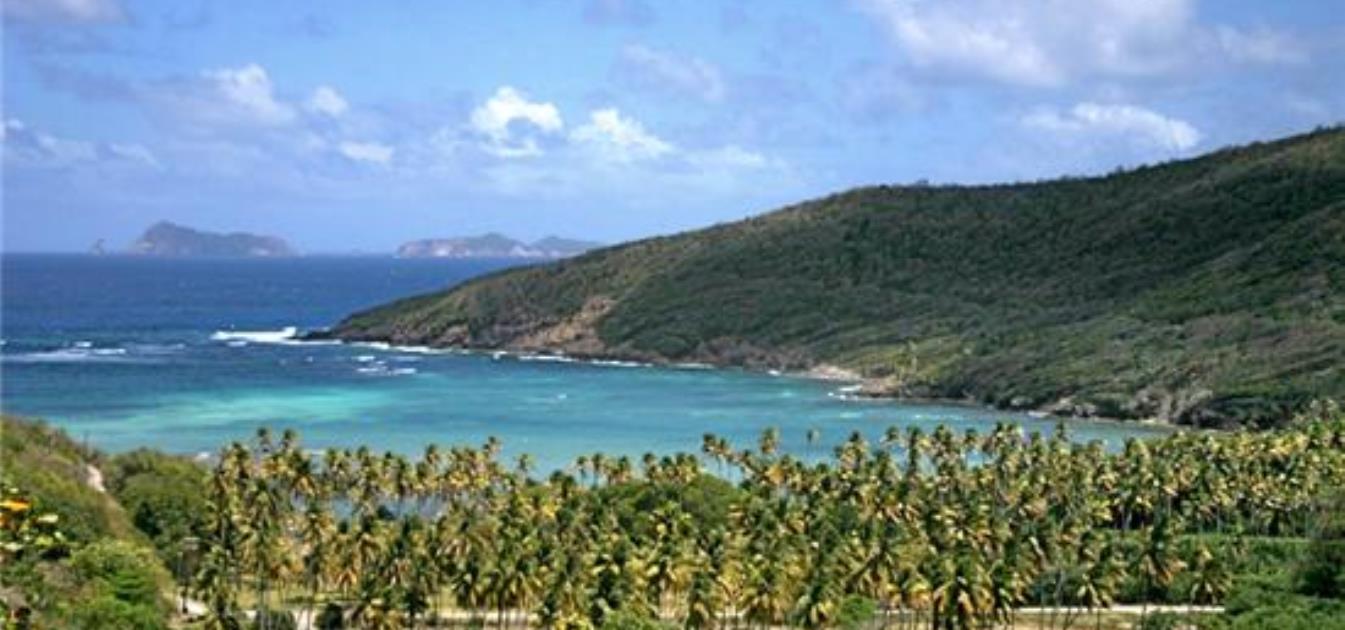 Spring Estate Lot 39