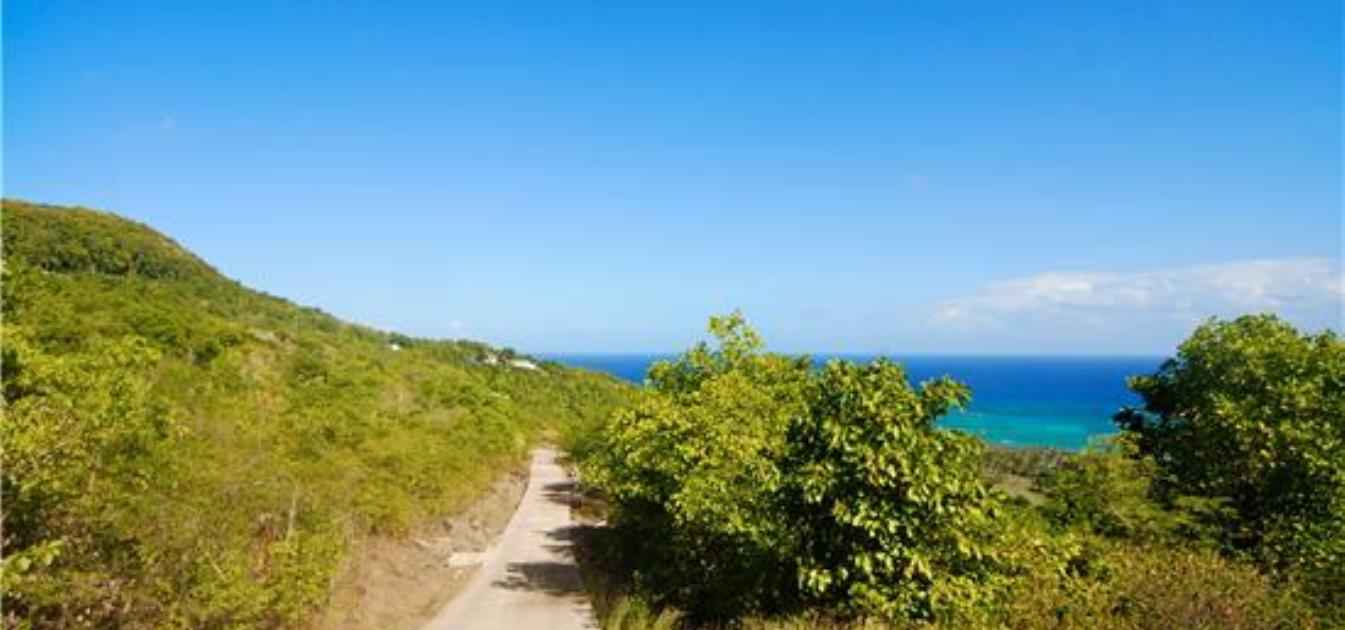 Spring Estate Lot 39