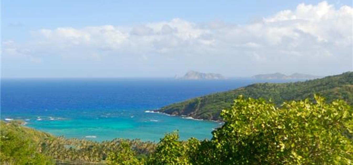 Spring Estate Lot 39