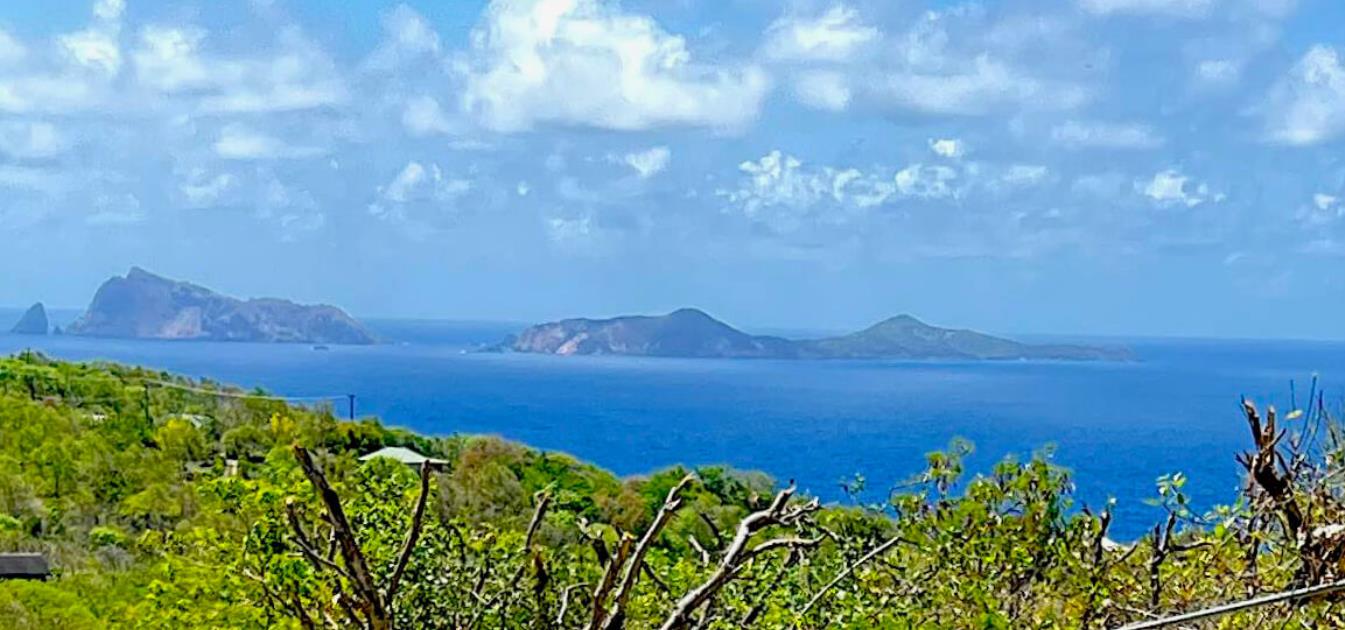 vacation-rentals/st-vincent-and-the-grenadines/bequia/mount-pleasant/aruanda-apartment
