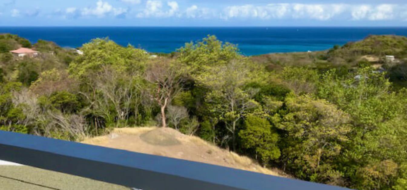 vacation-rentals/grenada/carriacou/craigston/flamboyant