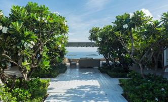 Marguerite - Mustique