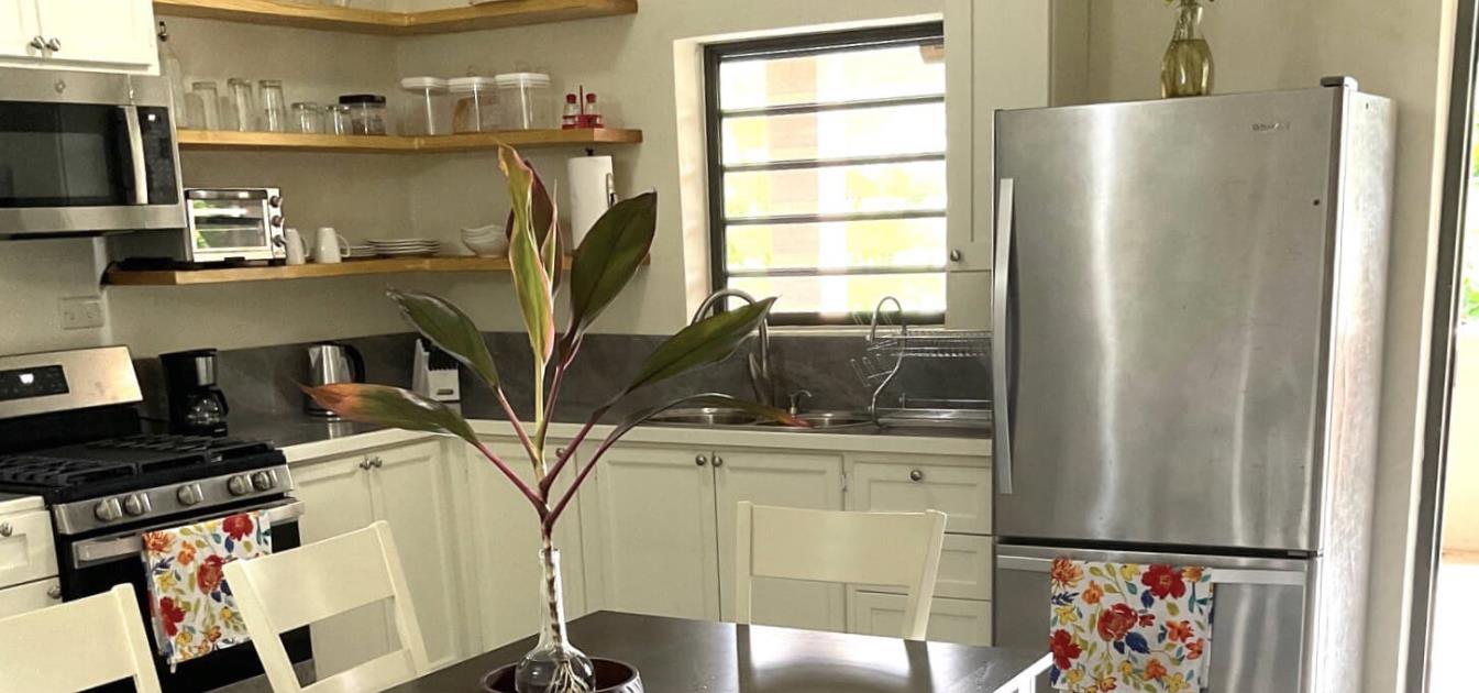 vacation-rentals/st-vincent-and-the-grenadines/bequia/belmont/hibiscus-house