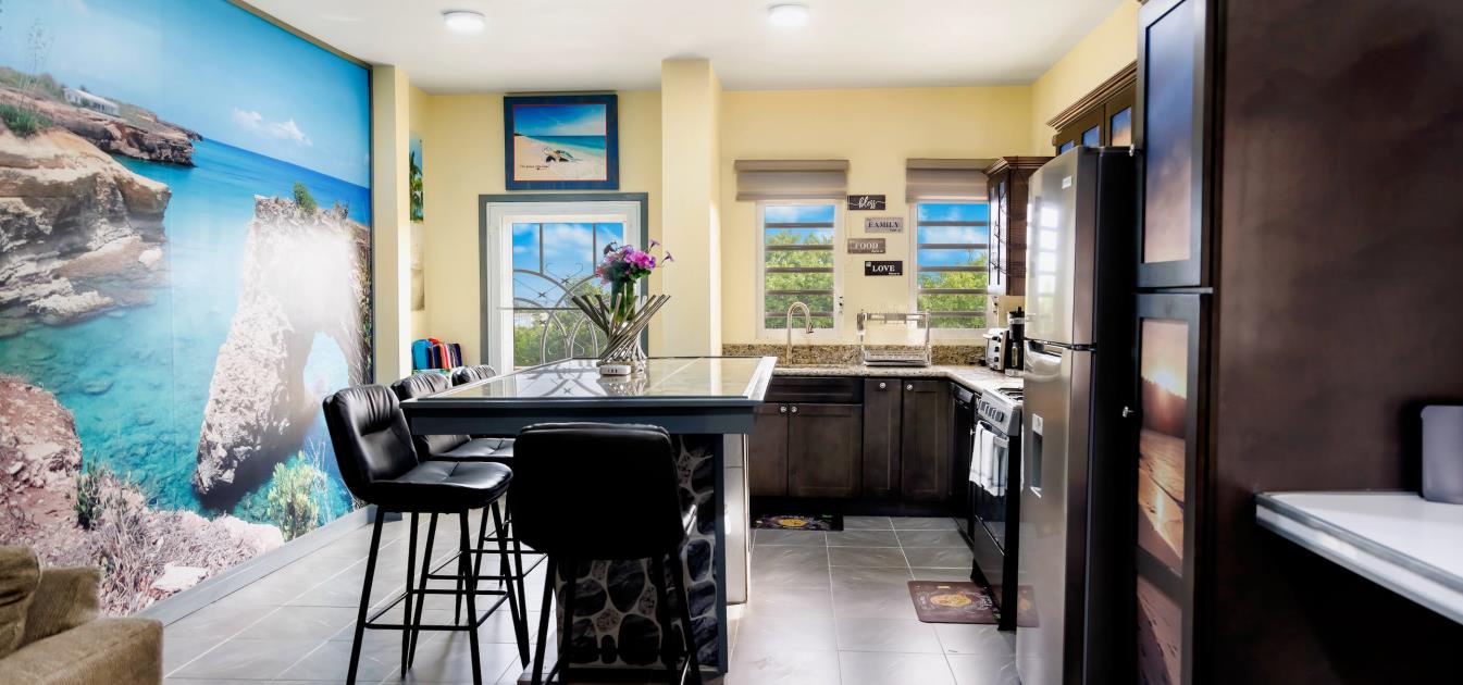 vacation-rentals/anguilla/anguilla/island-harbour/elleamau