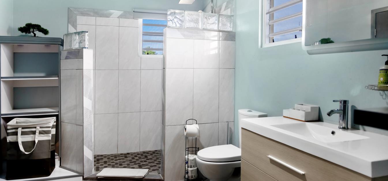 vacation-rentals/anguilla/anguilla/island-harbour/elleamau