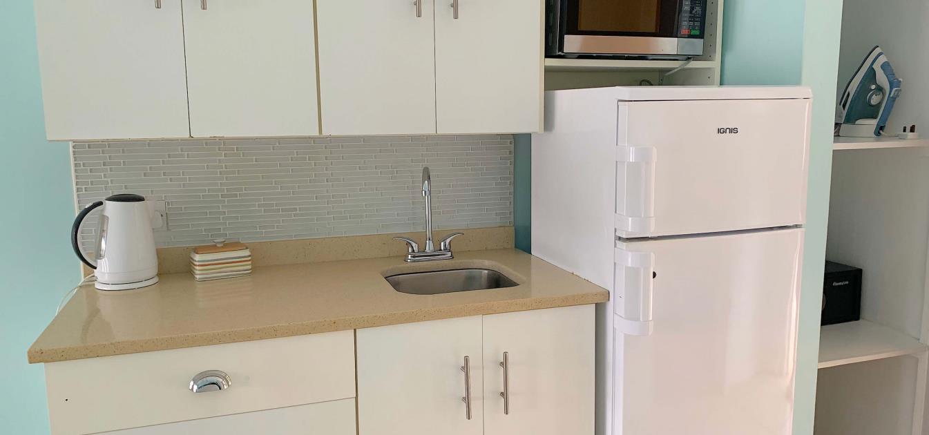 vacation-rentals/st-vincent-and-the-grenadines/st-vincent/ratho-mill/blue-lagoon-hotel-and-marina-deluxe-double-kitchenette