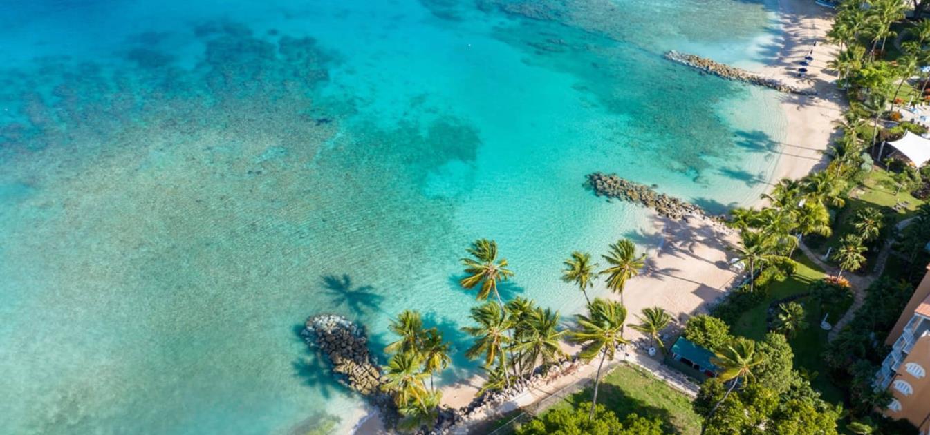 vacation-rentals/barbados/barbados/mullins/coral-beach-103