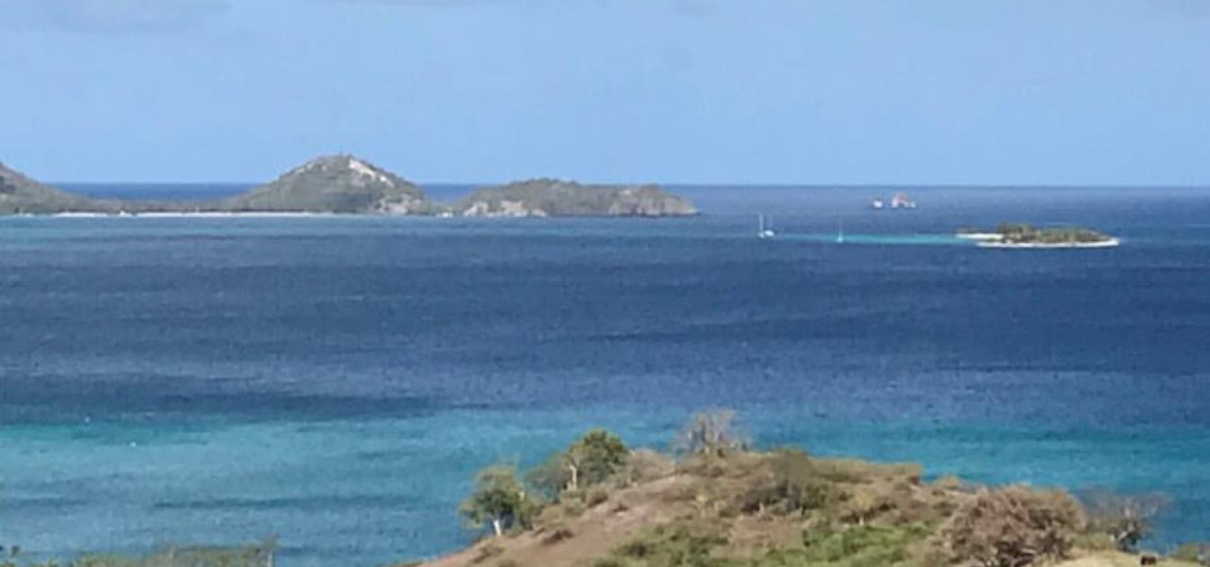 vacation-rentals/grenada/carriacou/craigston/mango-ceylon