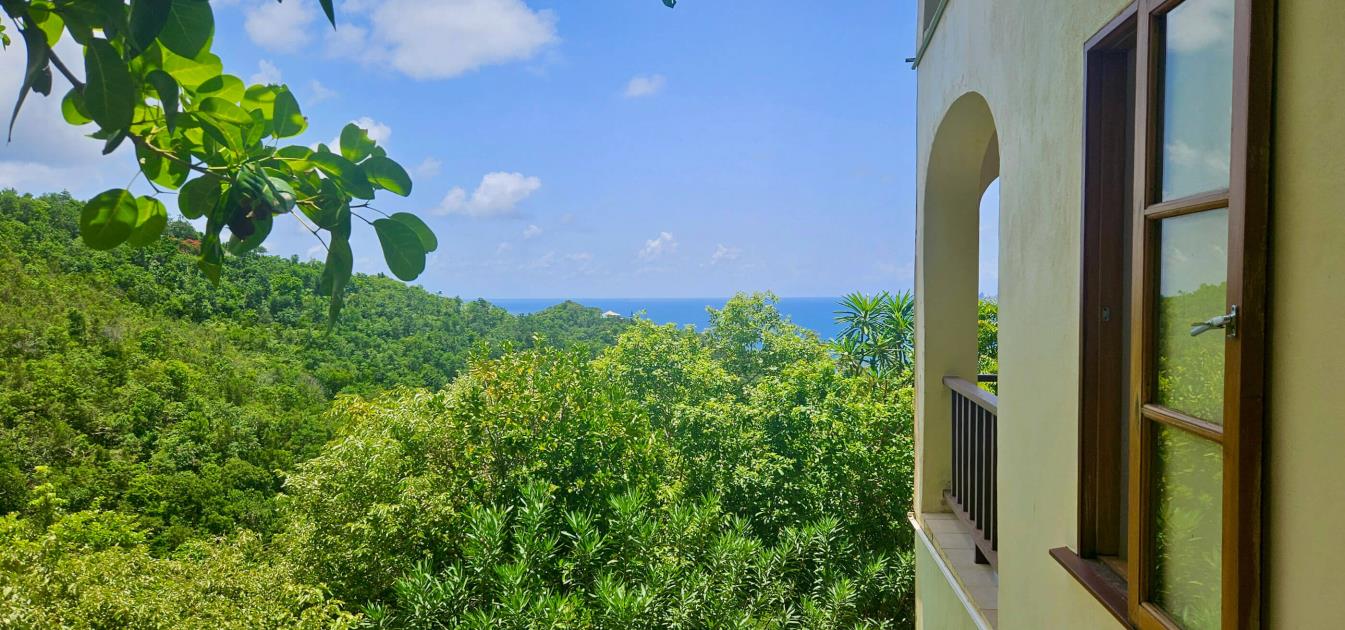 vacation-rentals/st-vincent-and-the-grenadines/bequia/spring/rosata-studio