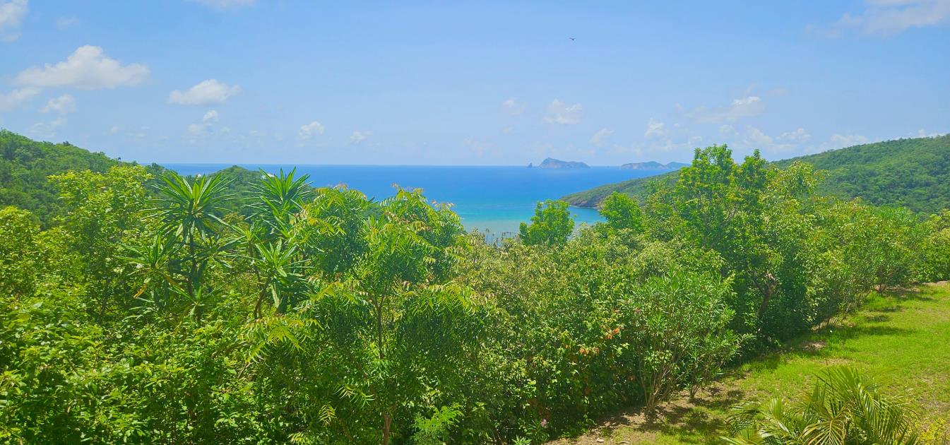 vacation-rentals/st-vincent-and-the-grenadines/bequia/spring/rosata-studio