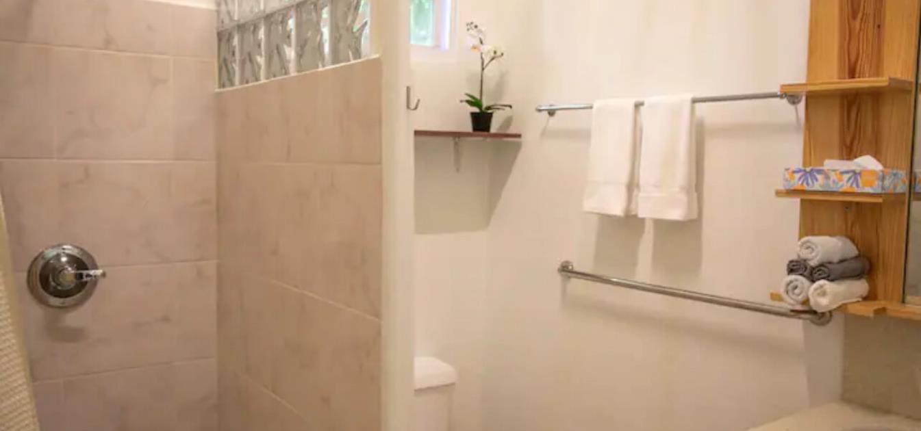 vacation-rentals/grenada/grenada-island/grand-anse/hideaway-waterfront-apt