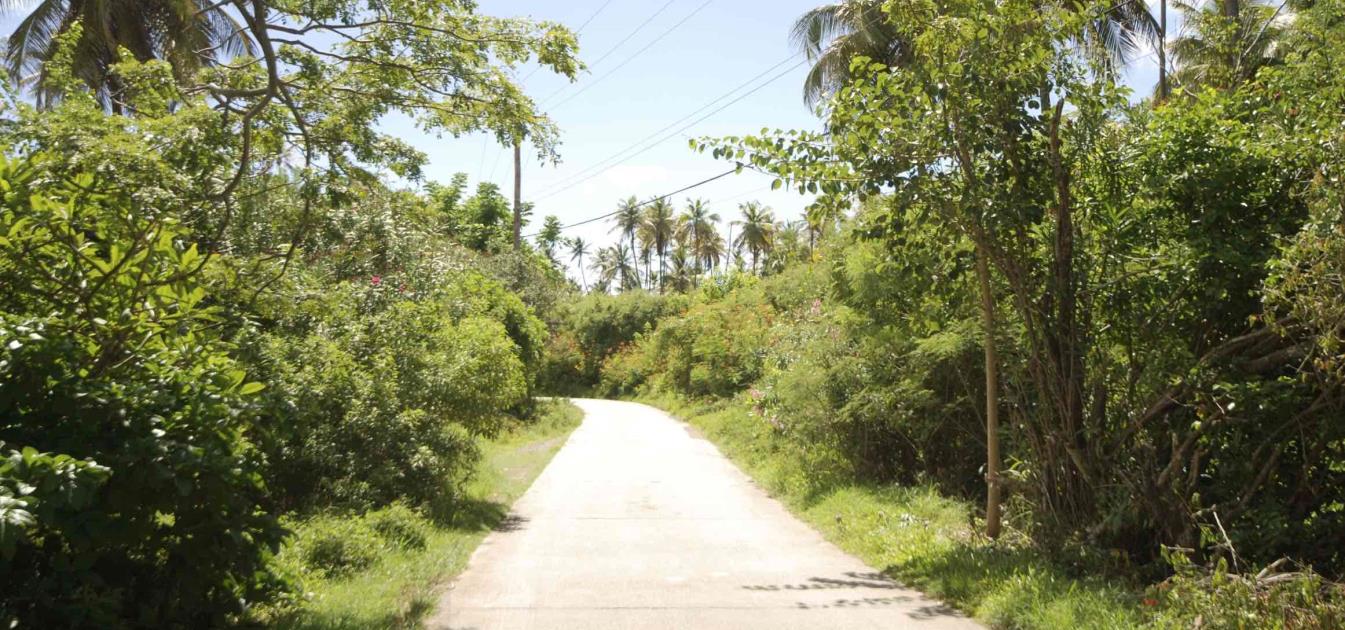 Crown Point Hillside Half Acre Lots