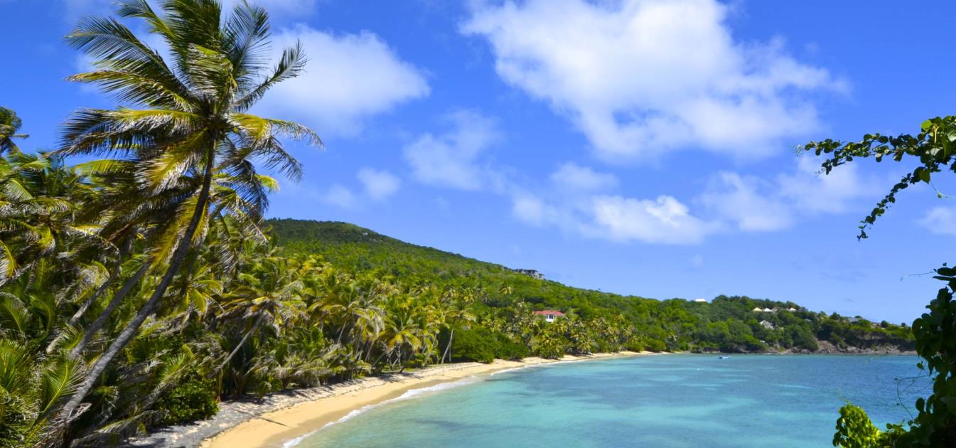 Crown Point Hillside Half Acre Lots