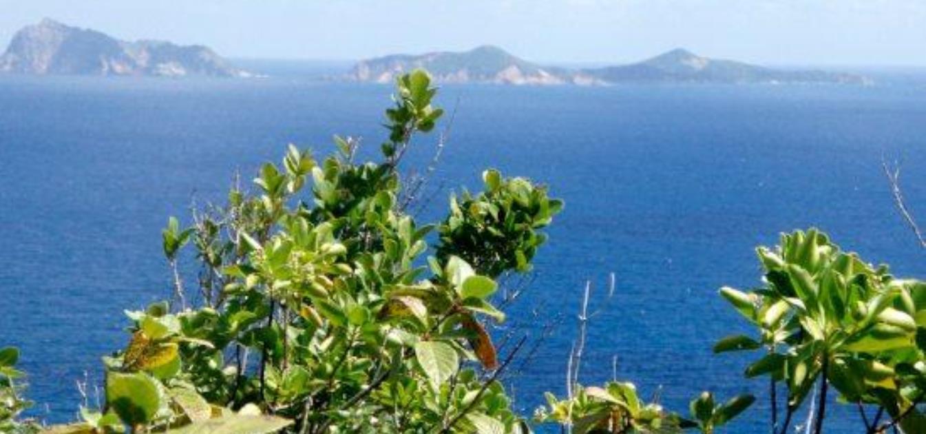 Friendship Heights Half Acre Lots