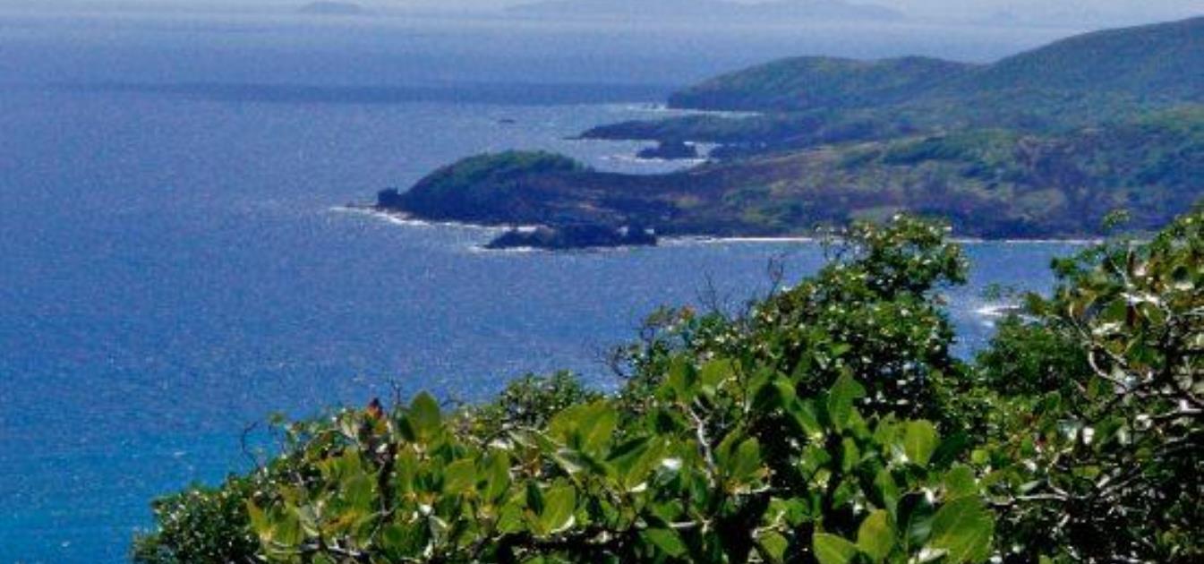 Friendship Heights Half Acre Lots