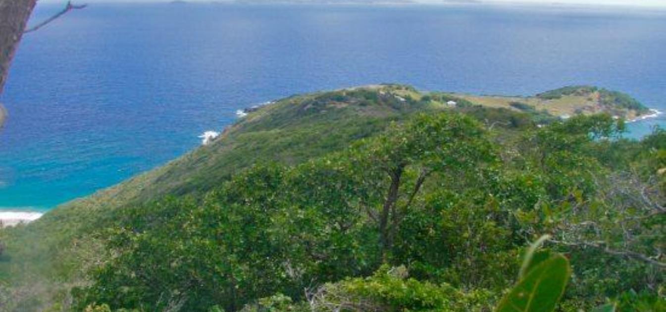 Friendship Heights Half Acre Lots