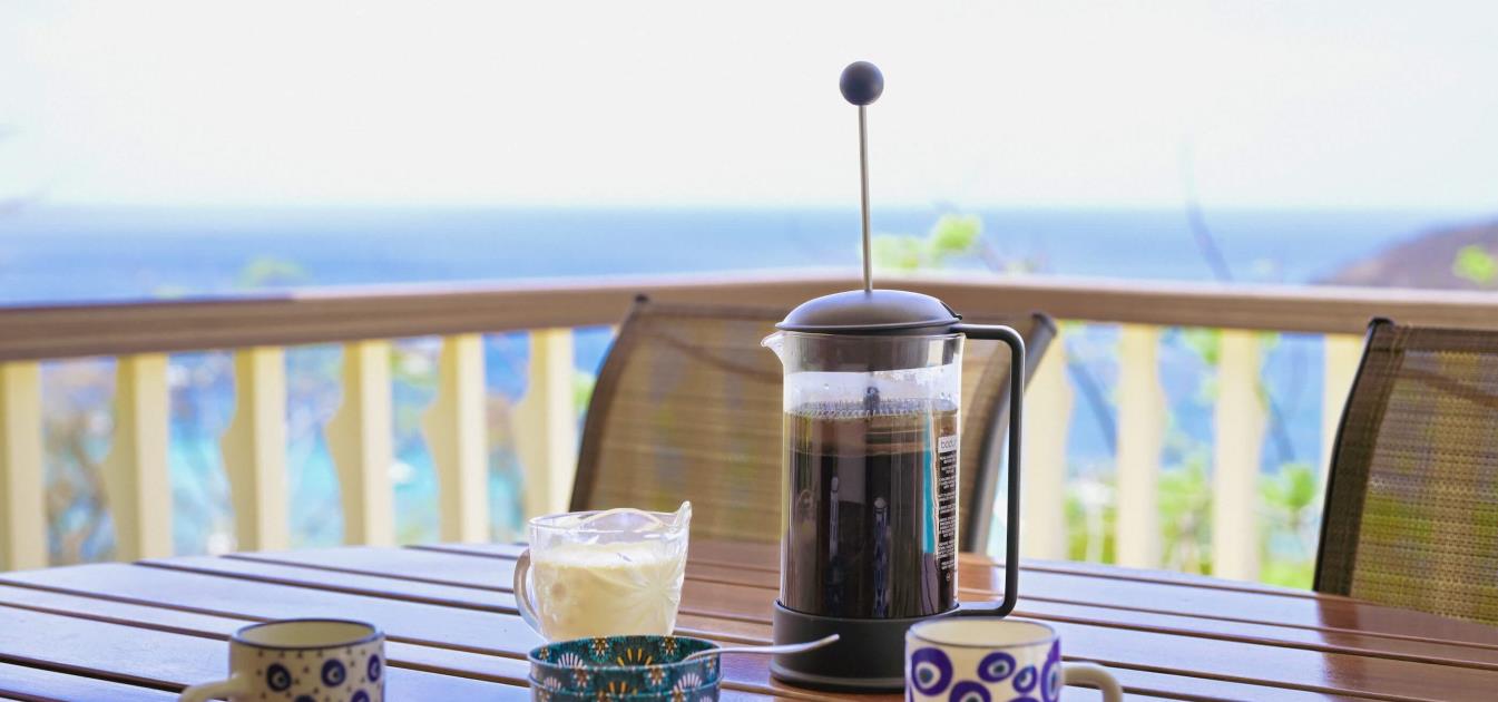 vacation-rentals/st-vincent-and-the-grenadines/bequia/belmont/villa-pattree-north-and-south