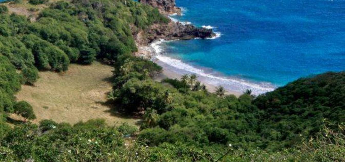 Friendship Heights Lot 21